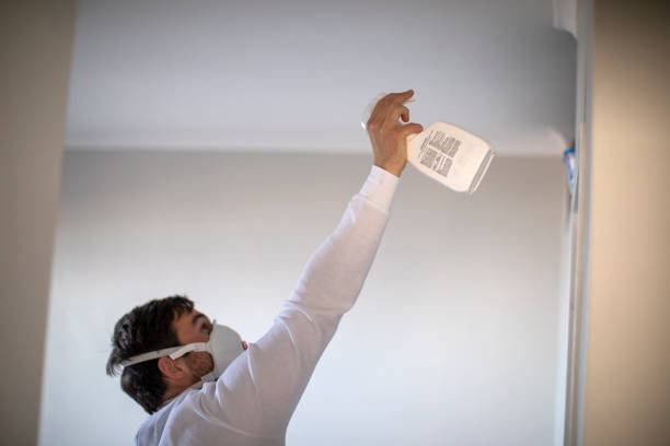 Best Attic Mold Remediation in Lakeside, OR