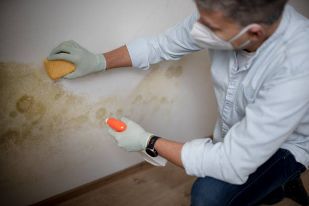 Lakeside, OR Mold Remediation Company